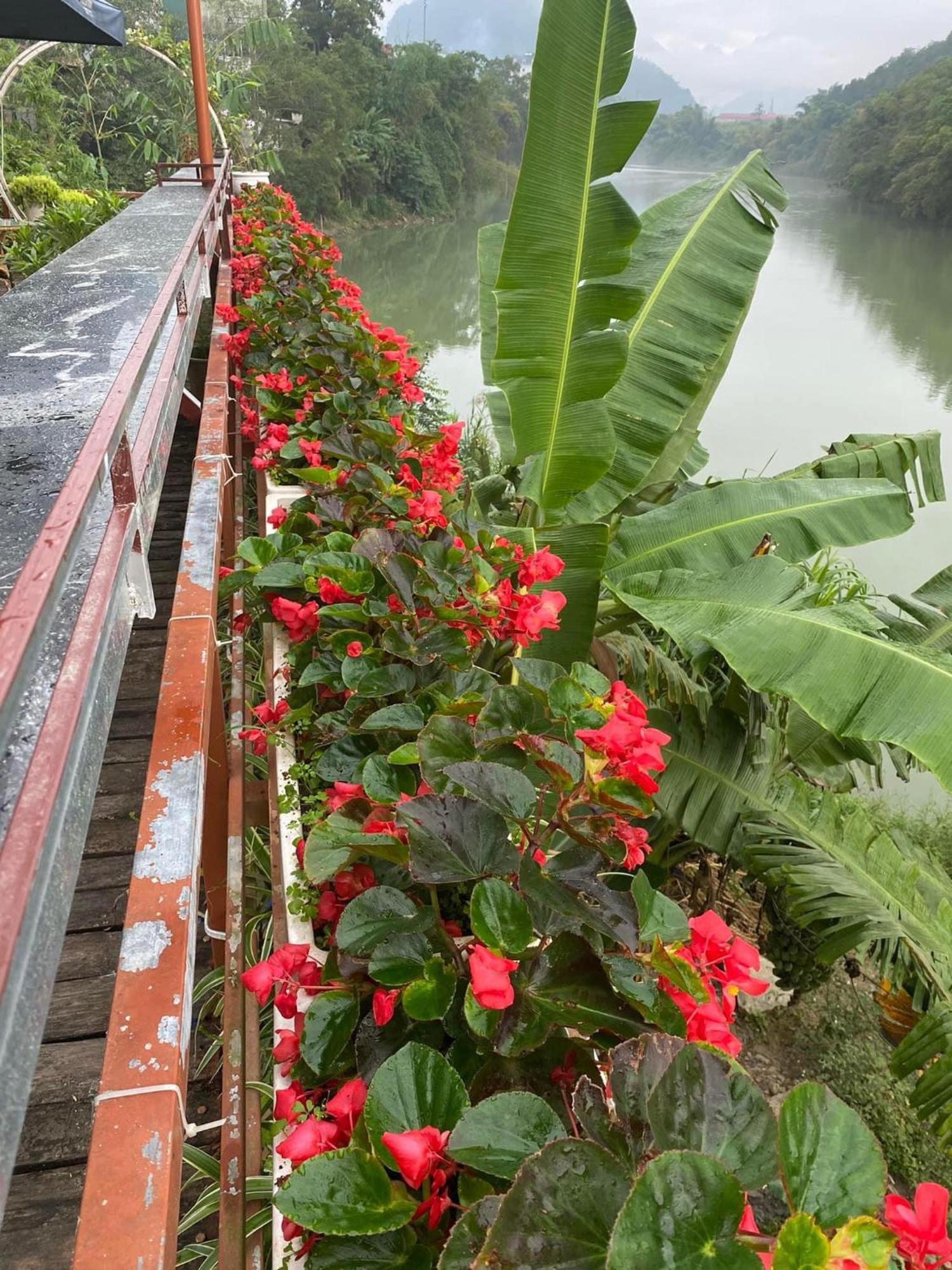 Garden Villa Homestay And Tour Motorbike&Car For Rent Ha Giang Εξωτερικό φωτογραφία